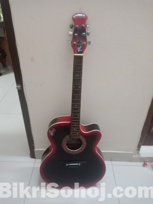 Signature er orginal guitar